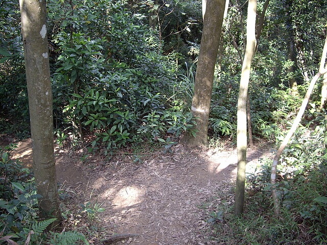 福人登山步道