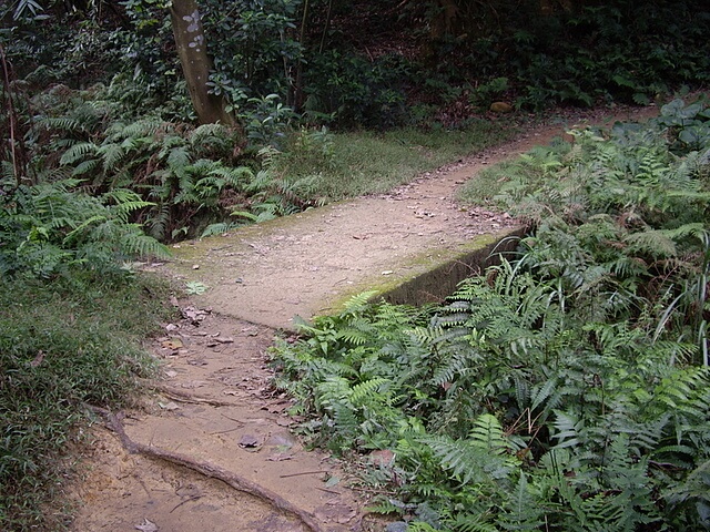 福人登山步道