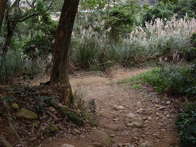 福人登山步道