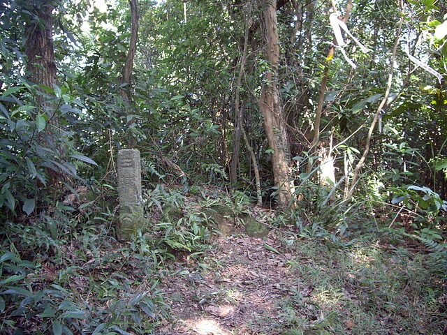 東竹篙厝山