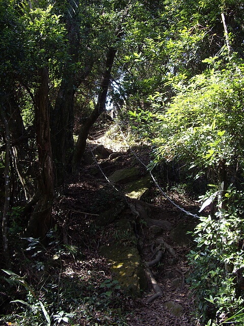 大艽芎古道、林嵩壽山、東竹篙厝山、內湳溝山、頭寮山