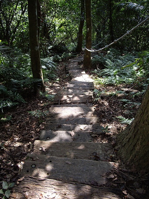 大艽芎古道、林嵩壽山、東竹篙厝山、內湳溝山、頭寮山