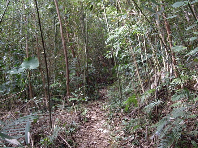 桃牛坪山、神桌山