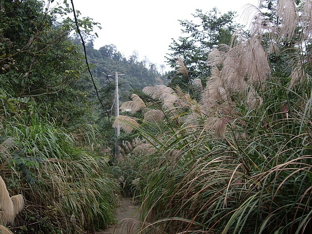 桃牛坪山、神桌山