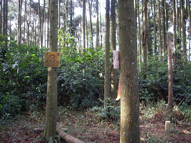 桃牛坪山、神桌山