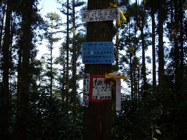 桃牛坪山、神桌山