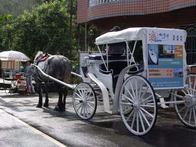 龍洞四季灣馬車