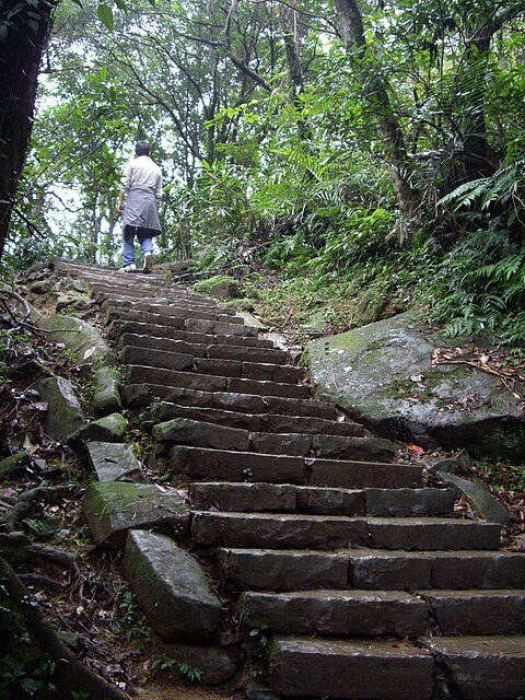 草嶺古道