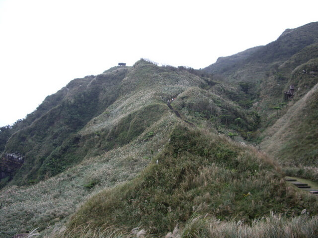 桃源谷步道(往灣坑頭山)