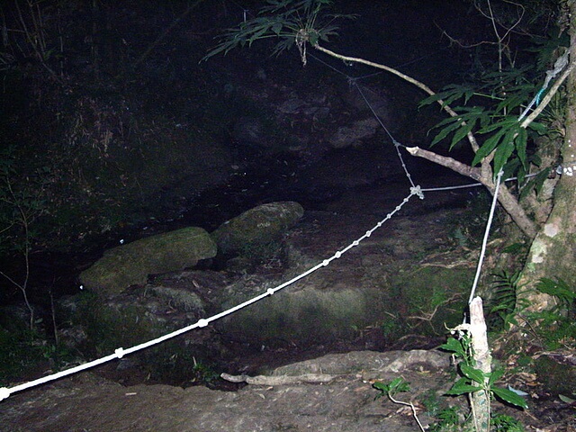 赫威山、赫威山前峰、北插天山、赫威神木群