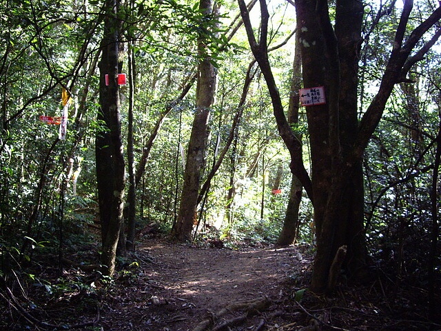 赫威山、赫威山前峰、北插天山、赫威神木群