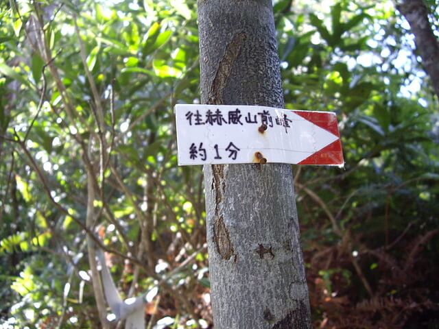 赫威山、赫威山前峰、北插天山、赫威神木群