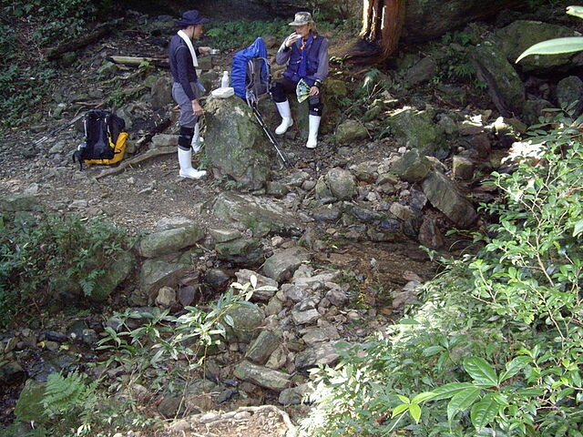 赫威山、赫威山前峰、北插天山、赫威神木群