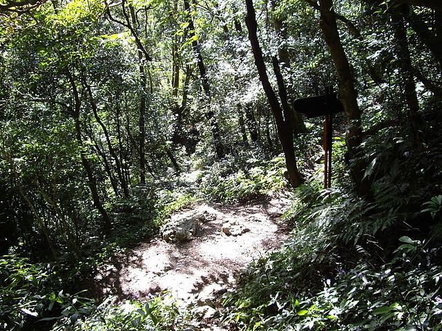 赫威山、赫威山前峰、北插天山、赫威神木群