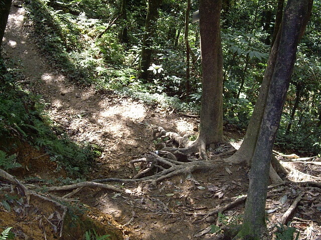 赫威山、赫威山前峰、北插天山、赫威神木群