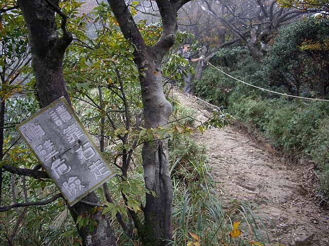 赫威山、赫威山前峰、北插天山、赫威神木群