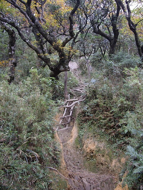 赫威山、赫威山前峰、北插天山、赫威神木群