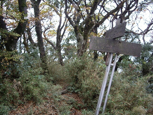 赫威山、赫威山前峰、北插天山、赫威神木群