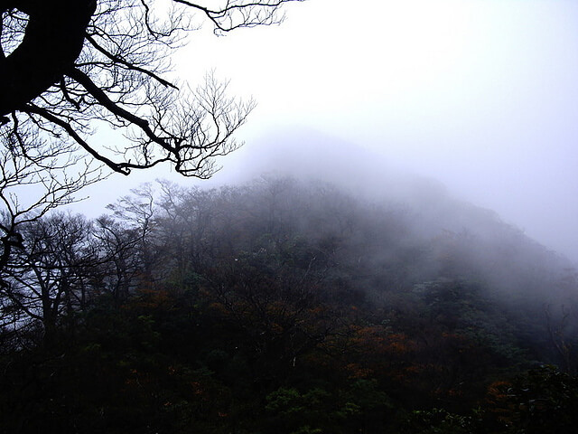 赫威山、赫威山前峰、北插天山、赫威神木群