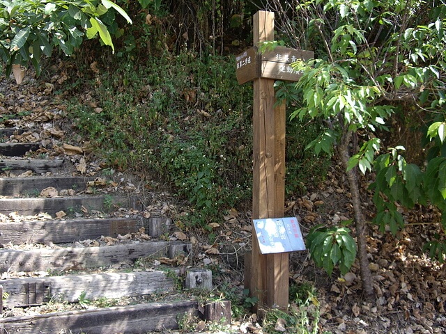 三汀山、埤腹山