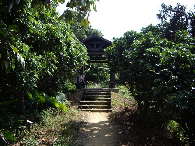 三汀山、埤腹山