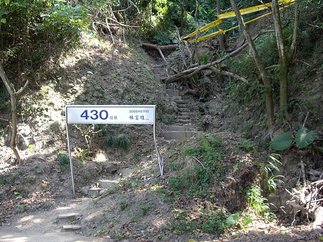 三汀山、埤腹山 430棧道