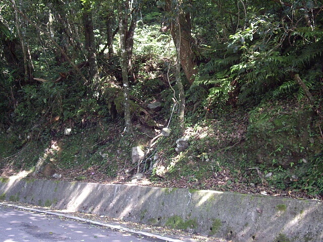 桃園 復興尖山 登山口