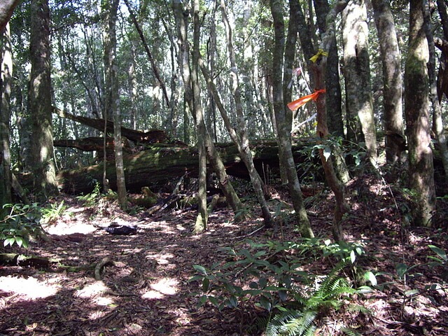 桃園 復興尖山