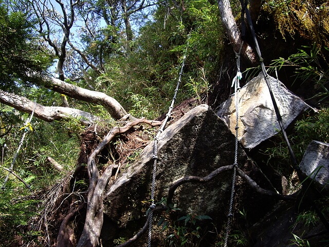 桃園 復興尖山