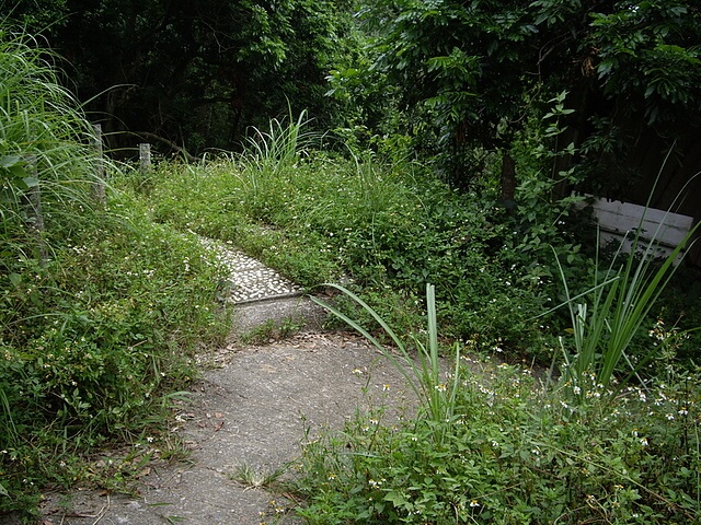 新田登山步道、聚興山