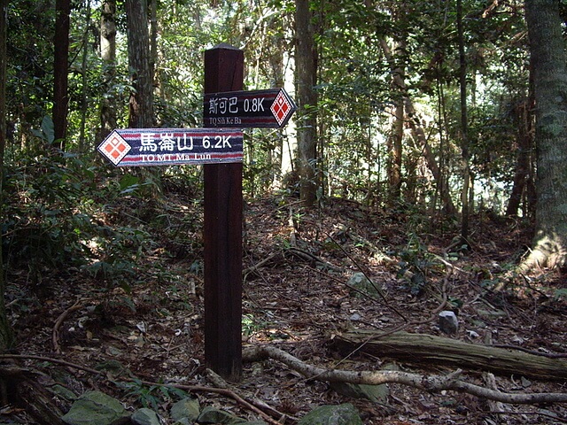 馬崙山、新山