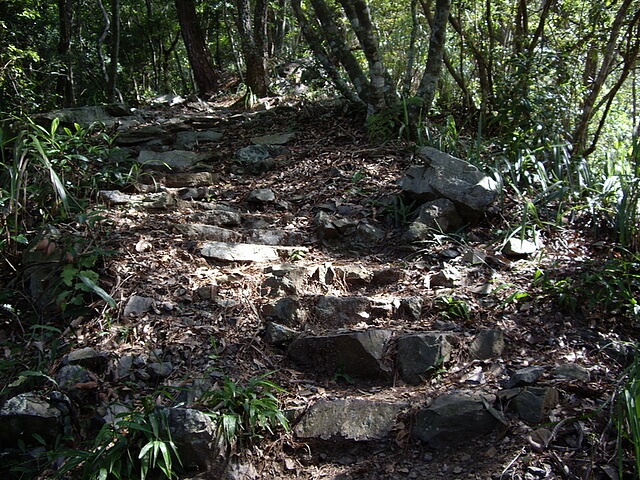 馬崙山、新山