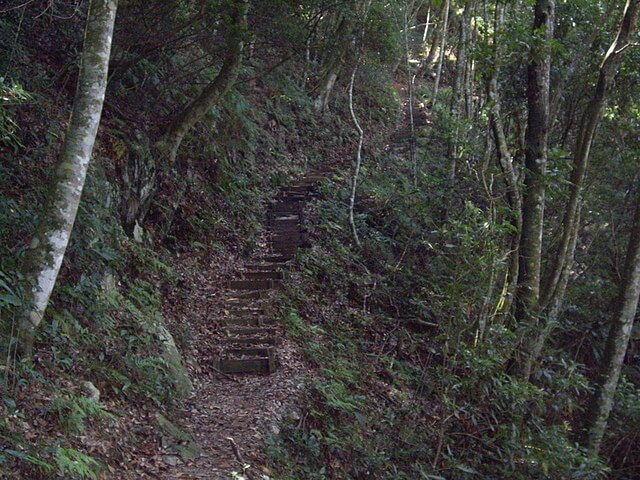 馬崙山、新山