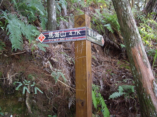 馬崙山、新山