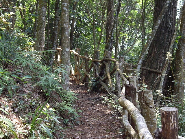 東卯山