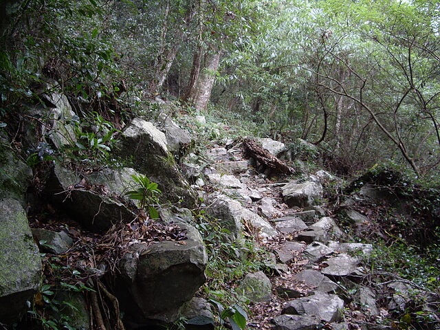 東卯山