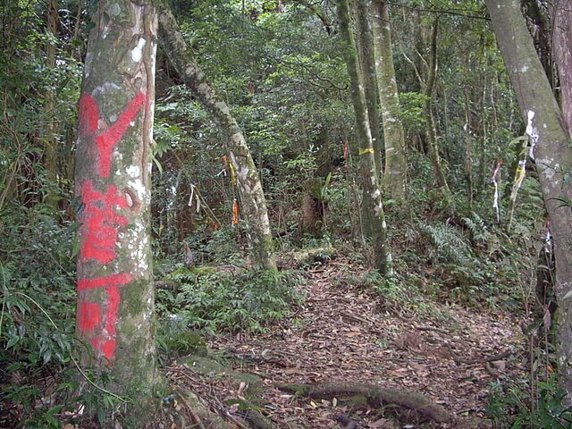 大窩山