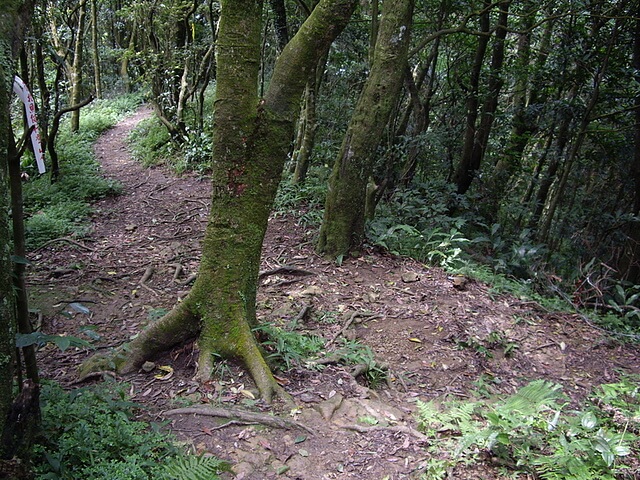 獅仔頭山