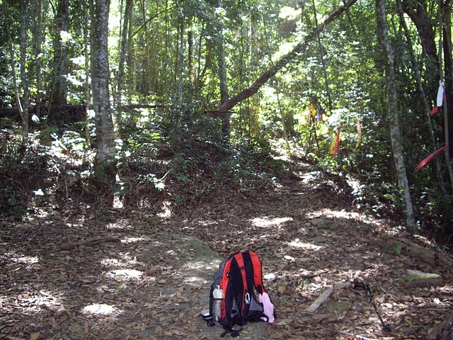 白毛山登山口