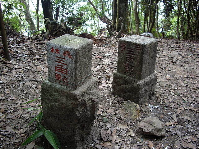 白毛山三等三角點與森林三角點