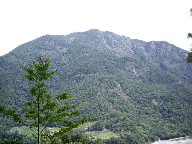 唐麻丹山