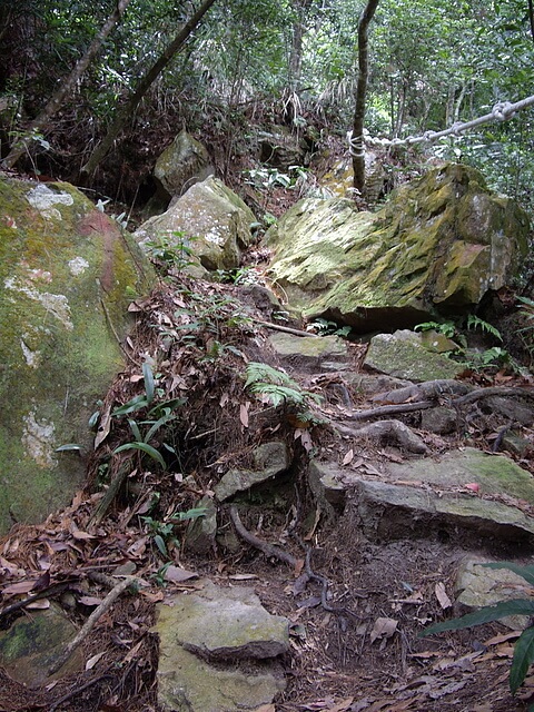 唐麻丹山