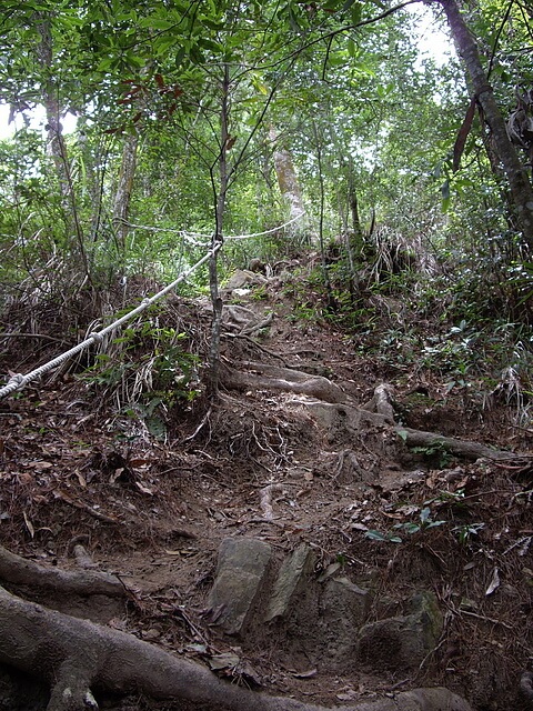 唐麻丹山