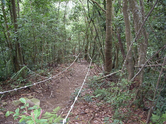 唐麻丹山、蝴蝶谷瀑布步道