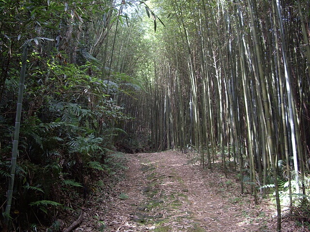 鬼澤山