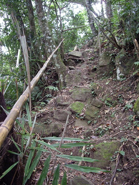 鬼澤山