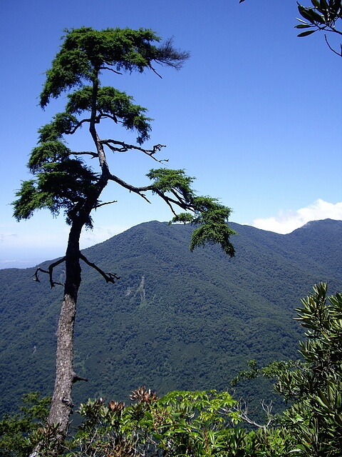 夫婦山 展望點景色