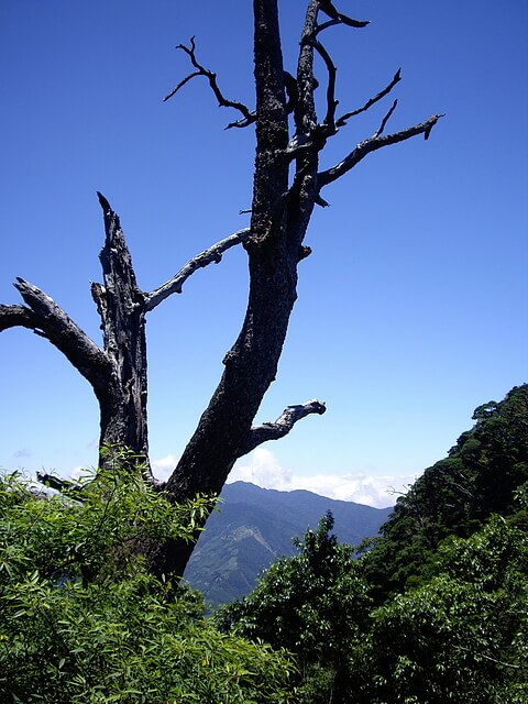 夫婦山 展望點景色