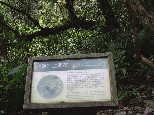 松羅國家步道