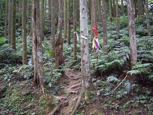 油羅山 第一登山口